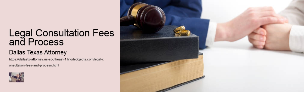 Legal Consultation Fees and Process